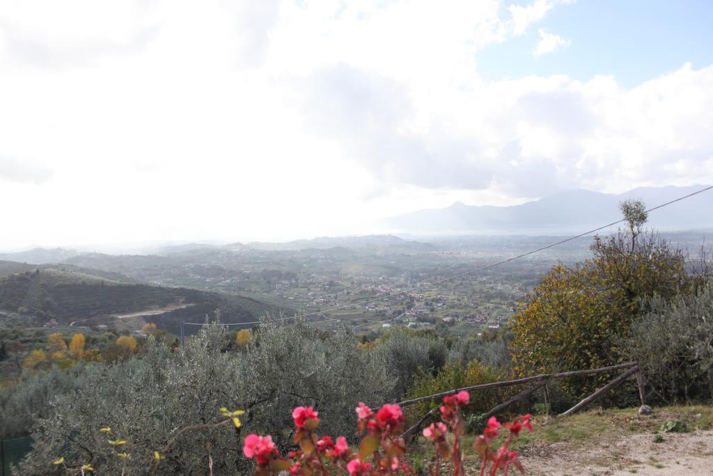 Il Pioppo